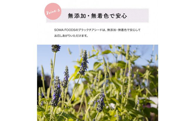 ブラックチアシード900g　2個セット 141305_LA16