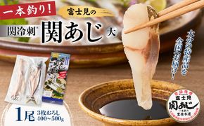 【E04018】 関冷刺　関あじ（大）