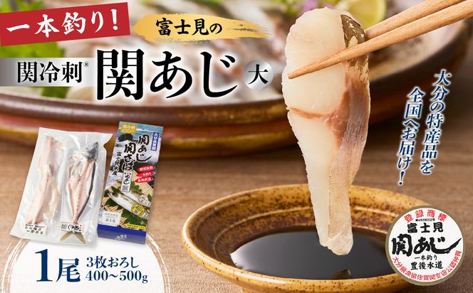 【E04018】 関冷刺　関あじ（大）