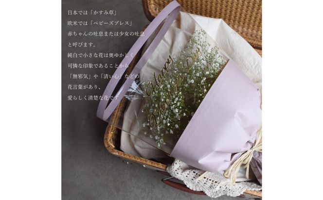 【母の日】母の日限定 かすみ草ブーケ＜お届け日：2026年5/4～5/10 当店おまかせ ＞母の日カード付き【 母の日 ギフト かすみ草 花 贈り物 大阪府 門真市 】 272230_BG122