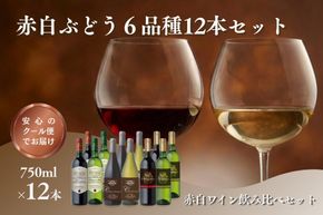 【E-110】W204 赤白ぶどう6品種 12本セット