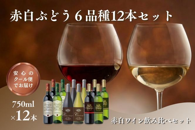 【E-110】W204 赤白ぶどう6品種 12本セット