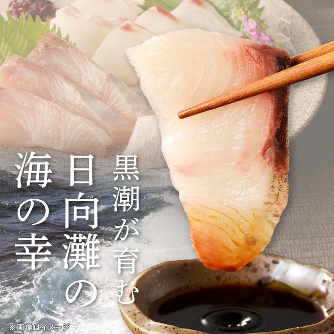 【6ヶ月定期便】大和海商 大和の高級お刺身 4人前 N072-YE092_2