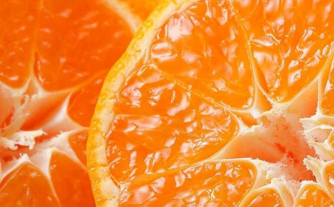 yQɕzJAɂ ݂鋤I uv4kgi2S`2Ljւ̔zsi2025N11{菇\j IKTBC004