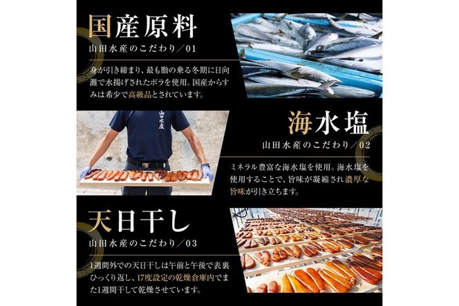 国産 からすみ (2本) カラスミ ボラ 珍味 魚卵 冷凍 おつまみ 大分県 佐伯市【HX004】【山田水産】