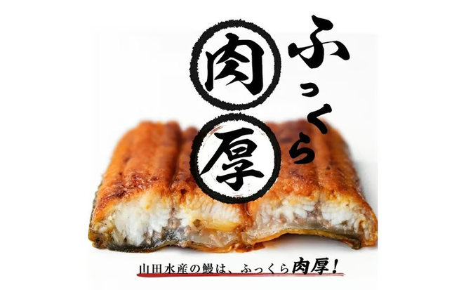 【志布志市人気No.1お礼の品】霧島湧水鰻の蒲焼き 160g以上×4尾＜計640g以上＞ a9-063