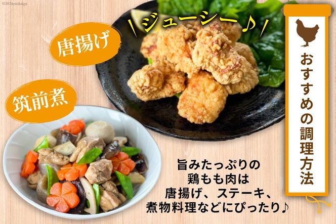 BI085 鶏肉 雲仙しまばら鶏 もも肉 260g むね肉 300g 各5袋 計2.8kg [ 小分け 鶏もも肉 鶏むね肉 若鶏 とりもも肉 とりむね肉 とりもも とりむね 肉 チキン 真空パック セット 大光食品 長崎県 島原市 ]