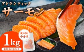 G3528 アトランティックサーモン 1kg【小分け 200g×5P 柵切り 刺身 魚介 海鮮 さーもん 生食】