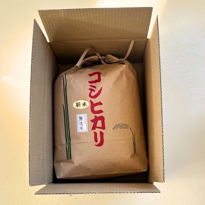 【令和7年産】【無洗米】コシヒカリ5kg 茨城県常総市産 精米｜米 お米 白米 ご飯 コメ こめ こしひかり