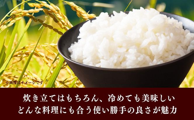 令和7年産　福岡県　夢つくし　15kg（5kg×3袋）《築上町》【カネガエ】[ABFA003]