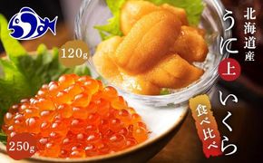 【先行/2026年1月より発送】知床羅臼町産うにといくらの食べ比べセット（うに【上】120g・いくら250g） 生産者 支援 応援 016942_AM006