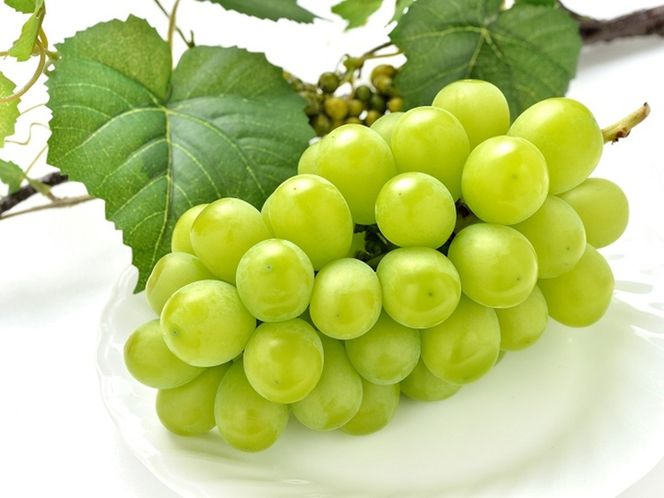 ［先行予約］シャインマスカット 約3kg（4房）［IKE326］ 303446_BB97395