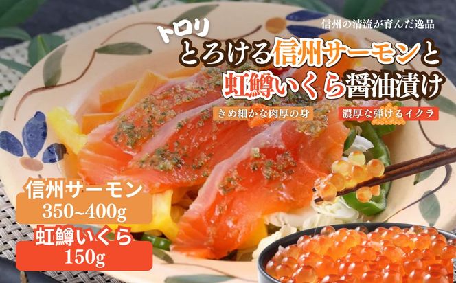トロリとろける信州サーモン350g～400g（虹鱒×ブラウントラウト）と虹鱒イクラ醤油漬け150g 魚貝類 簡単調理 海鮮丼 程よい脂 生食用 刺身 魚卵 魚介セット 