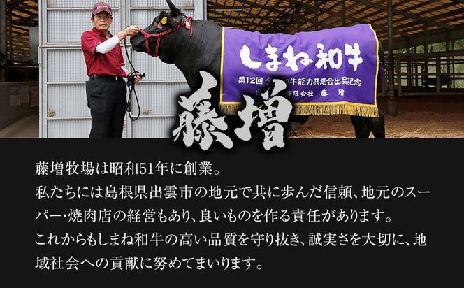 【お歳暮】藤増 しまね和牛小間切り 600ｇ【冷凍】◎12月発送◎ 322032_DS030