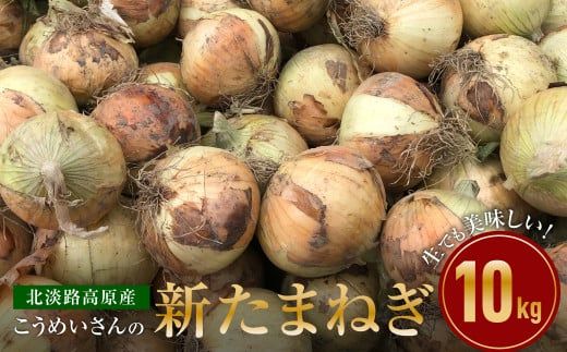 【新たまねぎ】こうめいさんの玉葱10kg【発送時期：2026年4月下旬～6月上旬頃】　[玉ねぎ 産地直送 玉ねぎ]