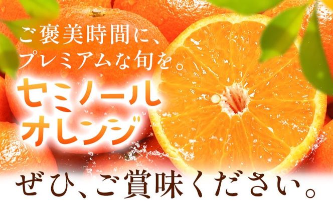 オレンジ 訳あり ご家庭用 セミノールオレンジ 約5kg 株式会社魚鶴商店《5月上旬-5月下旬頃出荷予定》 和歌山県 日高川町 柑橘 フルーツ---wshg_uot232_5j5g_26_12000_5kg---