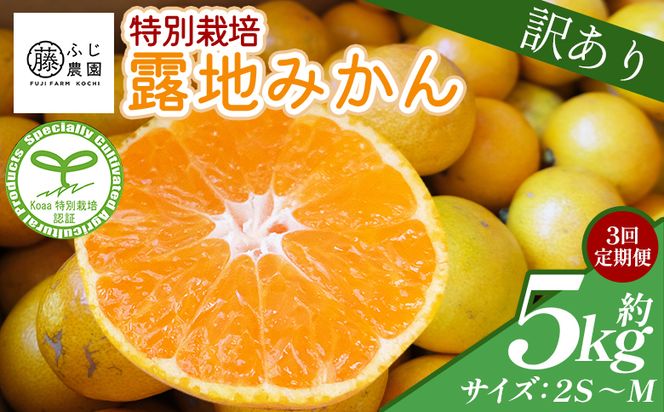 【3回定期便】ふじ農園の露地みかん 訳あり品 5kg(2S～M) 国産 小玉 蜜柑 ミカン 柑橘 果物 フルーツ 訳アリ ご家庭用 自宅用 ふじ農園 高知県 香南市 Wfn-0022