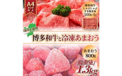 yɕ{sz󂠂I a ԂⓀ܂ Zbg v1.3kg