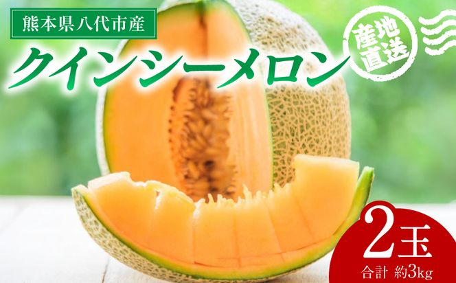 【先行予約】産地直送 クインシーメロン 2玉 約3kg クインシー メロン めろん 赤肉メロン 赤肉 果物 くだもの フルーツ デザート 贈り物 国産 熊本県 八代市【2026年5月下旬より順次発送】