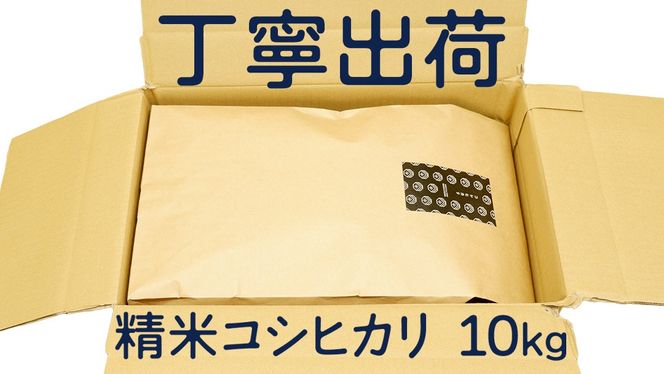 コシヒカリ 精米 10kg 令和7年産 米 お米 コメ 白米 こしひかり 茨城県 新生活 応援 [EX007ci]
