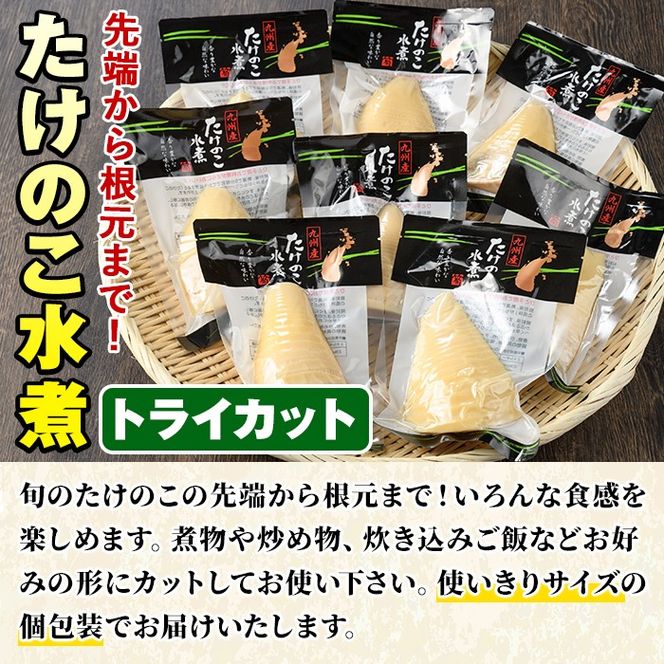 たけのこ水煮トライカット8袋(計800g・100g×8袋)国産 九州産 筍 野菜 使い切り 小分け 個包装【上野食品】a-12-194-z