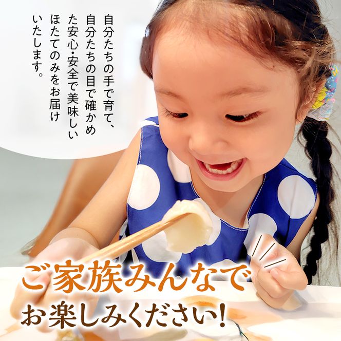 3ヵ月連続お届け 定期便 訳あり 北海道 オホーツク産 冷凍 ほたて 貝柱 2kg（1kg×2箱）ホタテ ランキング 海鮮 刺身 冷凍ふるさと納税 帆立 ふるさと 規格外 ホタテ貝柱