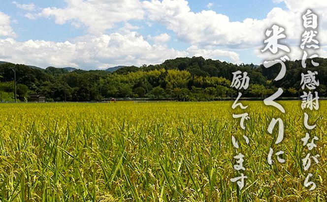 令和7年度産　ミルキークイーン（白米5kg） お米 ライス 精米 ブランド米 ご飯 炭水化物 毎食 朝ごはん ランチ 昼ごはん 夜ごはん 食卓 主食 おにぎり 直送 低農薬 