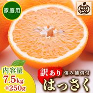 ＜1月より発送＞家庭用 はっさく7.5kg+250g（傷み補償分） ｜ 八朔みかん わけあり◇