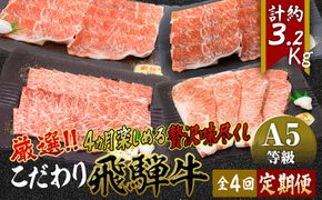 【厳選こだわり牛肉800g定期便】4ヵ月楽しめる贅沢味尽くし  [No.1043]