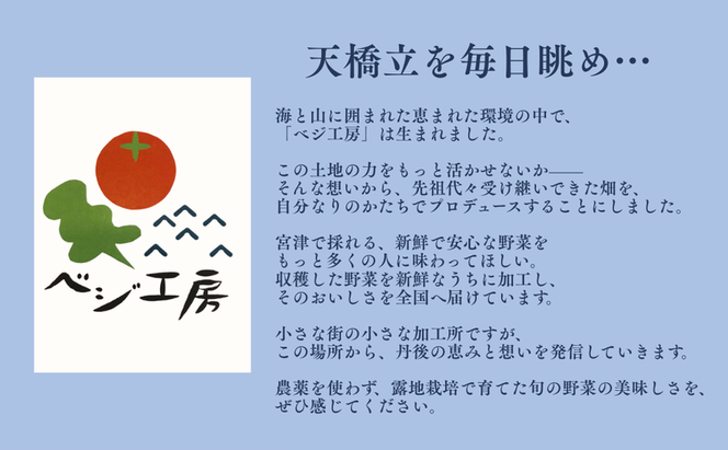 天橋立こはく糖（2箱入り）| お菓子 おかし おやつ 和菓子 こはく糖 食品 ギフト 
