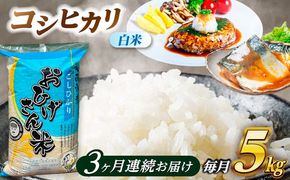 【3回定期便】コシヒカリ 白米 5kg×3か月 / 脇野コンバイン[AECP024]