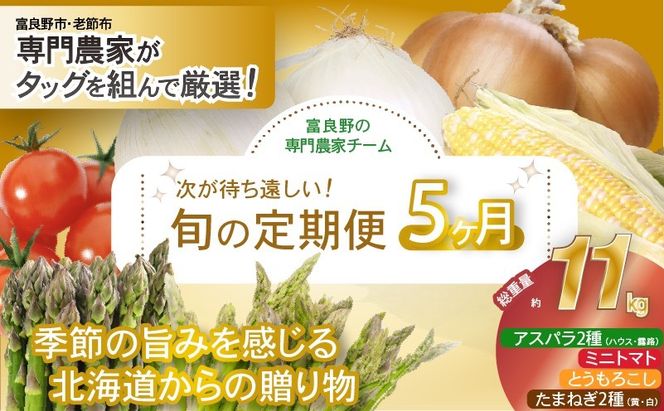 【2026年発送】全5回 富良野 専門農家が選ぶ 旬の贅沢 定期便 北海道 富良野市 老節布 野菜 アスパラ ハウス 露地 ミニトマト とうもろこし スイートコーン 玉ねぎ たまねぎ 玉葱 甘い