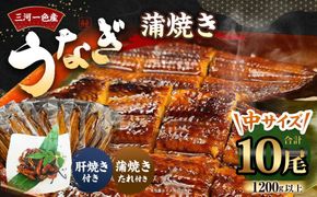 三河一色産 うなぎ蒲焼き 中10尾 タレ付き セット 簡単調理 冷凍