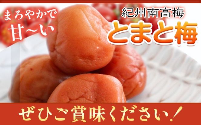 南高梅 tomato-ume とまと 梅 100g×4 有限会社プラム《30日以内に出荷予定(土日祝除く)》和歌山県 日高川町 送料無料 梅 うめ ウメ 南高梅 紀州 トマト梅 送料無料---wshg_plm3_30d_26_10000_5---