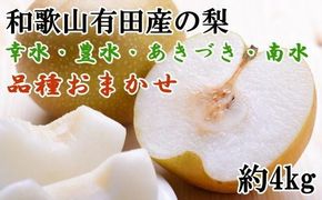【産直】和歌山有田産の梨約4kg（品種おまかせ）★2026年8月上旬頃より順次発送	BZ100  