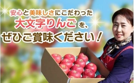 平泉町産100％りんごジュース1箱(30本入り) / 大文字りんご 完熟りんご りんごジュース 林檎ジュース アップルジュース 100％ストレート 果汁100％ ストレート果汁 缶ジュース 林檎 フルーツ 果物 くだもの 果汁飲料 果実飲料 飲み物 乳酸菌ヨーグルト農法【dma100-195x30x1B】