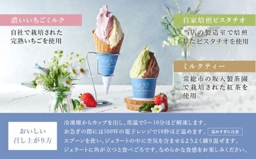 y錧푍szSENDA BANDA WF[glߍ킹120ml×6