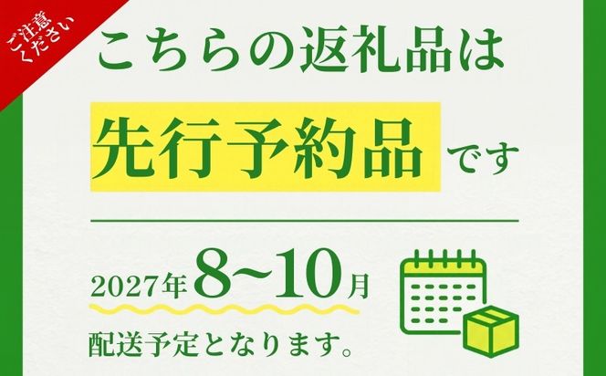 【2027年発送】 シャインマスカット 粒 山梨県産 選べる4容量 約500g 約1.3kg 約1.5kg 約2.0kg ｜シャインマスカット ぶどう 　葡萄　ブドウ　山梨県　都留市 くだもの　果物 フルーツ 大人気 送料無料 粒のまま FB022_056