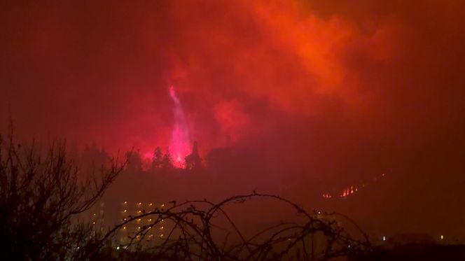 令和8年4月 岩手県大槌町林野火災 【災害支援寄附】