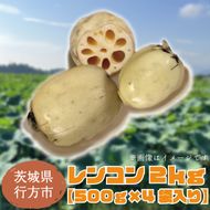 【先行予約】【2026年9月より順次発送開始】レンコン　約2kg｜茨城県 行方市 ふるさと納税 蓮根 レンコン 野菜 やさい(EG-2)