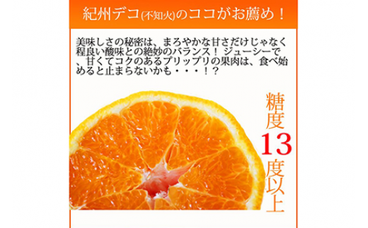 果肉プリプリ♪　完熟紀州デコ(不知火) 約5kg ｜ 柑橘 不知火 デコポン みかん フルーツ 果物 旬 先行予約 でこぽん 国産 産地直送 完熟 一級品  美浜町
