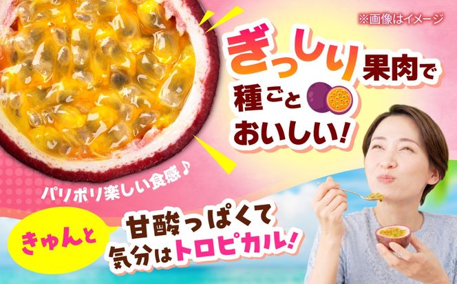 【2027年発送】【先行予約】 沖縄県産パッションフルーツ (1kg箱入り)／南国フルーツ 国産 果物 ギフト 産地直送 お取り寄せ 沖縄産 沖縄市 / ちゃんぷる～市場 [BCAA009]