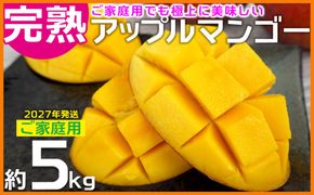 【2027年発送】ご家庭用でも極上に美味しい完熟アップルマンゴー約5kg 農園直送！