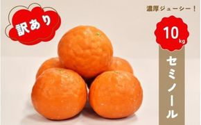 【先行予約】橋本農園の 訳あり セミノール 10kg 【2027年3月中旬から4月中旬に順次発送】 / セミノール 柑橘 フルーツ 果物 くだもの 先行予約 訳あり【mht021】