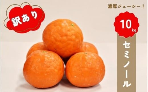 【先行予約】橋本農園の 訳あり セミノール 10kg 【2027年3月中旬から4月中旬に順次発送】 / セミノール 柑橘 フルーツ 果物 くだもの 先行予約 訳あり【mht021】