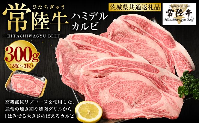 【常陸牛】ハミデルカルビ300g（2～3枚）（茨城県共通返礼品 茨城県産）