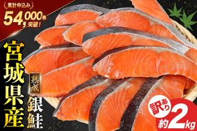 鮭 訳あり 宮城県産 熟成 銀鮭 切身 約2kg [宮城東洋 宮城県 気仙沼市 20563343] 鮭 海鮮 魚介類 国産 さけ 鮭 甘口 サケ 鮭切身 シャケ 切り身 冷凍 おかず 弁当 支援 事業者支援 サーモン 魚 銀鮭切り身