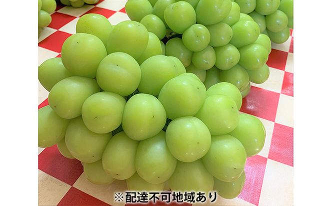 シャインマスカット 1房 700g以上 葡萄 フルーツ 岡山 高梁市産 こあに葡萄園 2026年 先行予約 果物類 ぶどう ブドウ 