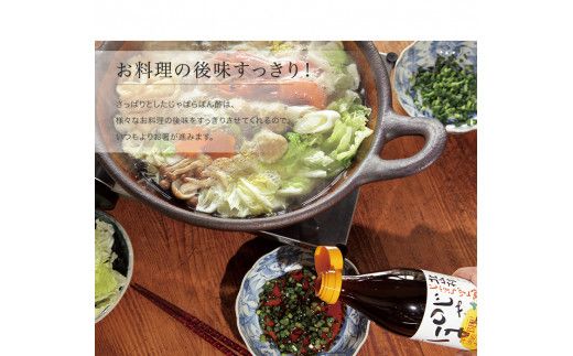 じゃばらポン酢 じゃぽん 360ml×5本セット 邪払 ジャバラ じゃばら ぽん酢 じゃぽん 北山村 / 紀伊国屋文左衛門本舗_V7256