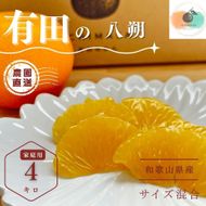 【ふるさと納税】【先行予約】 八朔 4kg 家庭用 サイズ混合 柑橘 フルーツ はっさく 産地直送 お取り寄せ 送料無料 FA10